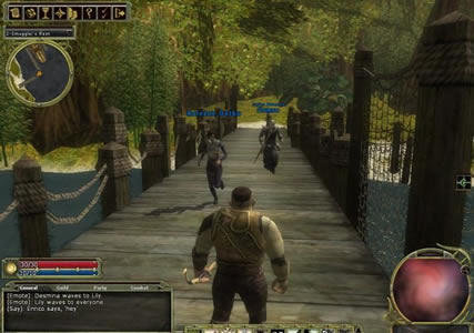 Dungeons and Dragons Online Screenshot 1