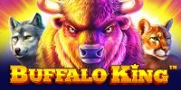 Buffalo King und Slot Spiele gehört einfach zusammen