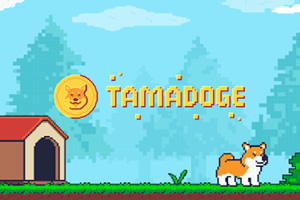 Tamadoge